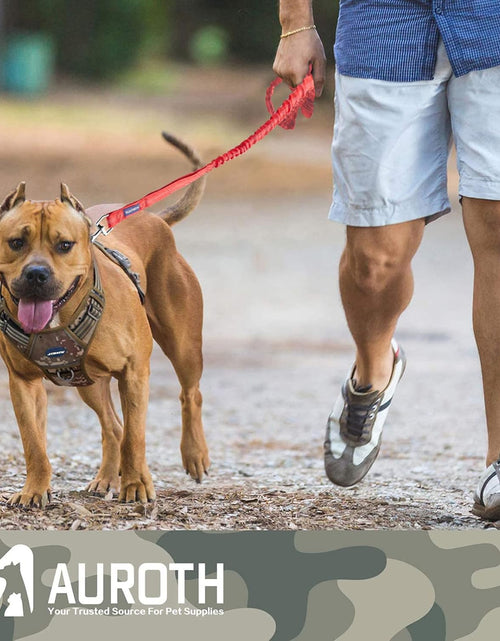 Load image into Gallery viewer, Dog Leash Large Dogs, Heavy Duty Dog Leash Bungee, No Pull Dog Leash for Shock Absorption, Red Dog Training Leashes for Medium Large Breed Dogs 6FT, 2 Padded Handles
