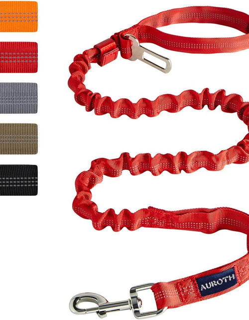 Load image into Gallery viewer, Dog Leash Large Dogs, Heavy Duty Dog Leash Bungee, No Pull Dog Leash for Shock Absorption, Red Dog Training Leashes for Medium Large Breed Dogs 6FT, 2 Padded Handles
