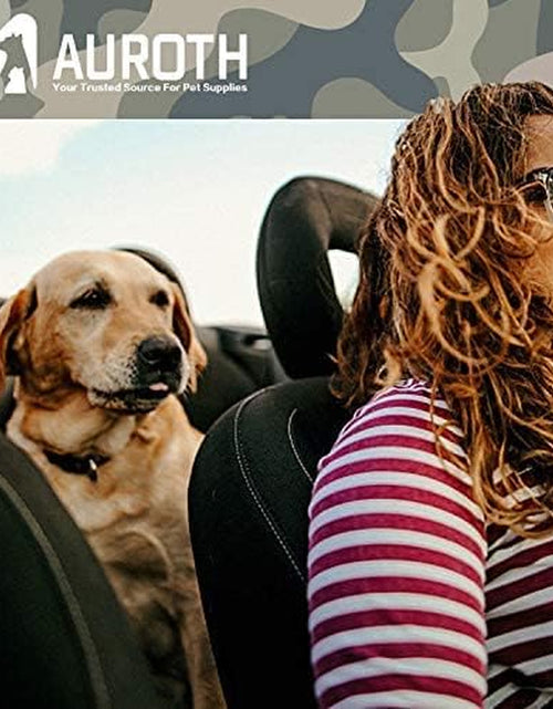 Load image into Gallery viewer, Dog Leash Large Dogs, Heavy Duty Dog Leash Bungee, No Pull Dog Leash for Shock Absorption, Red Dog Training Leashes for Medium Large Breed Dogs 6FT, 2 Padded Handles
