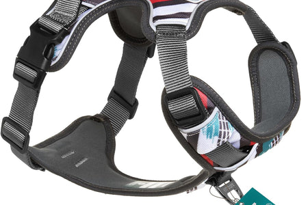 Embark Urban Dog Harness, No Pull Dog Harness with 2 Leash Clips, Dog Harness for Medium Dogs No Pull. Front & Back with Control Handle, Adjustable Black Dog Vest, Soft & Padded for Comfort