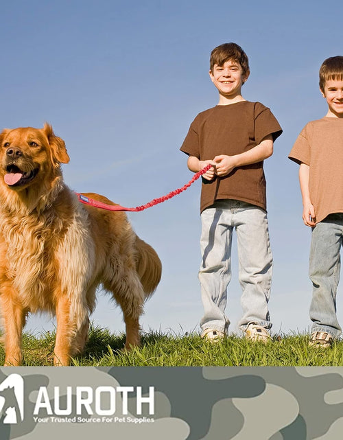 Load image into Gallery viewer, Dog Leash Large Dogs, Heavy Duty Dog Leash Bungee, No Pull Dog Leash for Shock Absorption, Red Dog Training Leashes for Medium Large Breed Dogs 6FT, 2 Padded Handles
