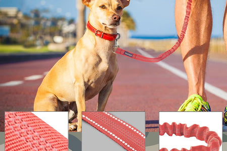 Dog Leash Large Dogs, Heavy Duty Dog Leash Bungee, No Pull Dog Leash for Shock Absorption, Red Dog Training Leashes for Medium Large Breed Dogs 6FT, 2 Padded Handles