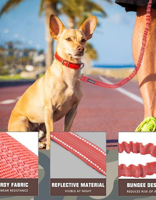 Load image into Gallery viewer, Dog Leash Large Dogs, Heavy Duty Dog Leash Bungee, No Pull Dog Leash for Shock Absorption, Red Dog Training Leashes for Medium Large Breed Dogs 6FT, 2 Padded Handles
